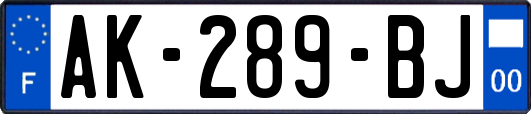 AK-289-BJ