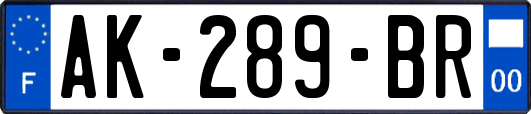 AK-289-BR