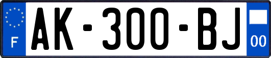AK-300-BJ