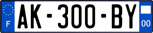AK-300-BY