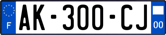 AK-300-CJ