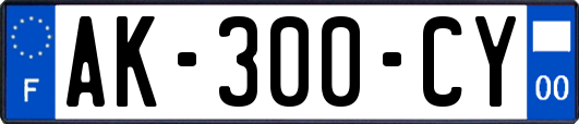 AK-300-CY