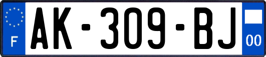 AK-309-BJ