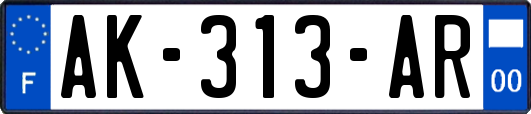 AK-313-AR