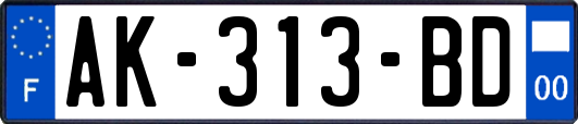 AK-313-BD