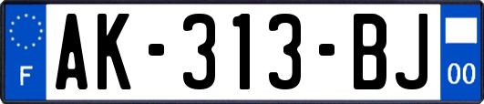 AK-313-BJ