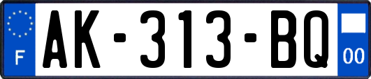 AK-313-BQ