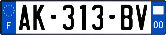 AK-313-BV