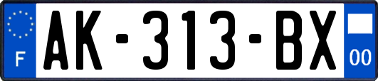 AK-313-BX