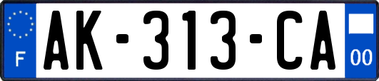 AK-313-CA