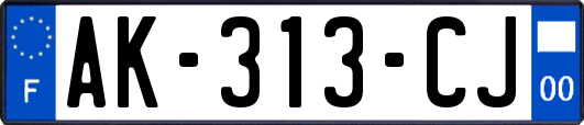 AK-313-CJ