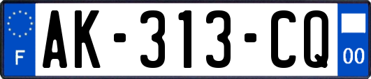 AK-313-CQ