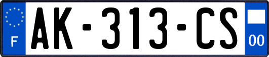 AK-313-CS