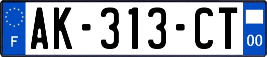 AK-313-CT