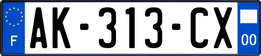 AK-313-CX