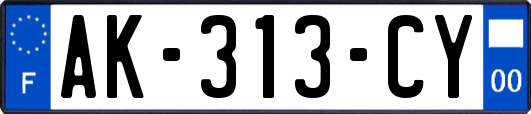 AK-313-CY
