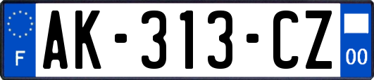 AK-313-CZ