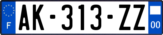 AK-313-ZZ