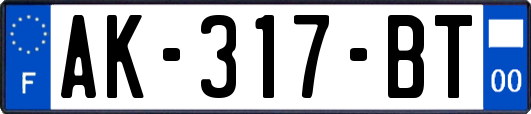AK-317-BT