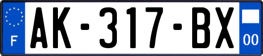 AK-317-BX