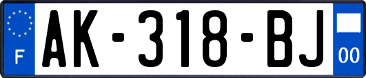 AK-318-BJ