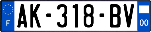 AK-318-BV