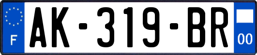 AK-319-BR