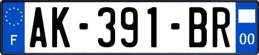 AK-391-BR