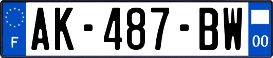 AK-487-BW
