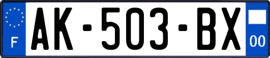 AK-503-BX