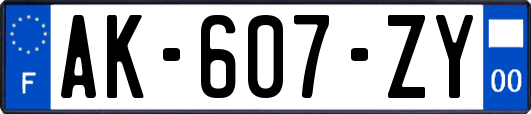 AK-607-ZY