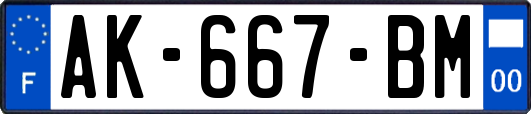AK-667-BM