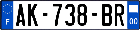 AK-738-BR