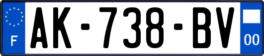 AK-738-BV