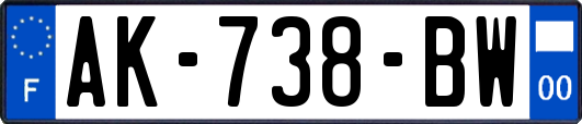 AK-738-BW