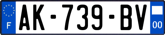 AK-739-BV