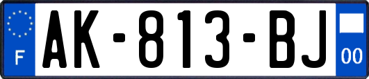 AK-813-BJ