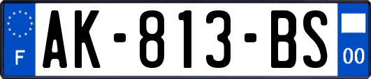 AK-813-BS