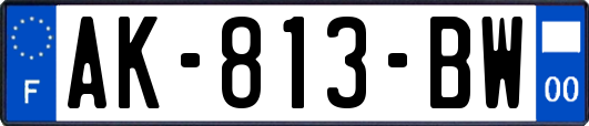 AK-813-BW