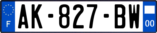AK-827-BW