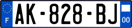 AK-828-BJ