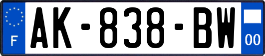 AK-838-BW