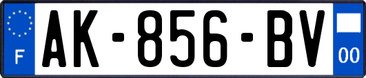 AK-856-BV