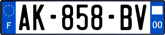 AK-858-BV