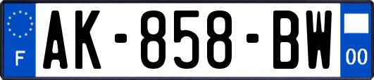 AK-858-BW