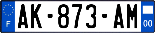 AK-873-AM