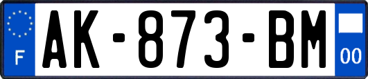 AK-873-BM