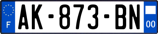 AK-873-BN