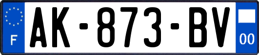 AK-873-BV