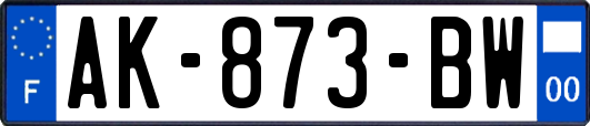 AK-873-BW